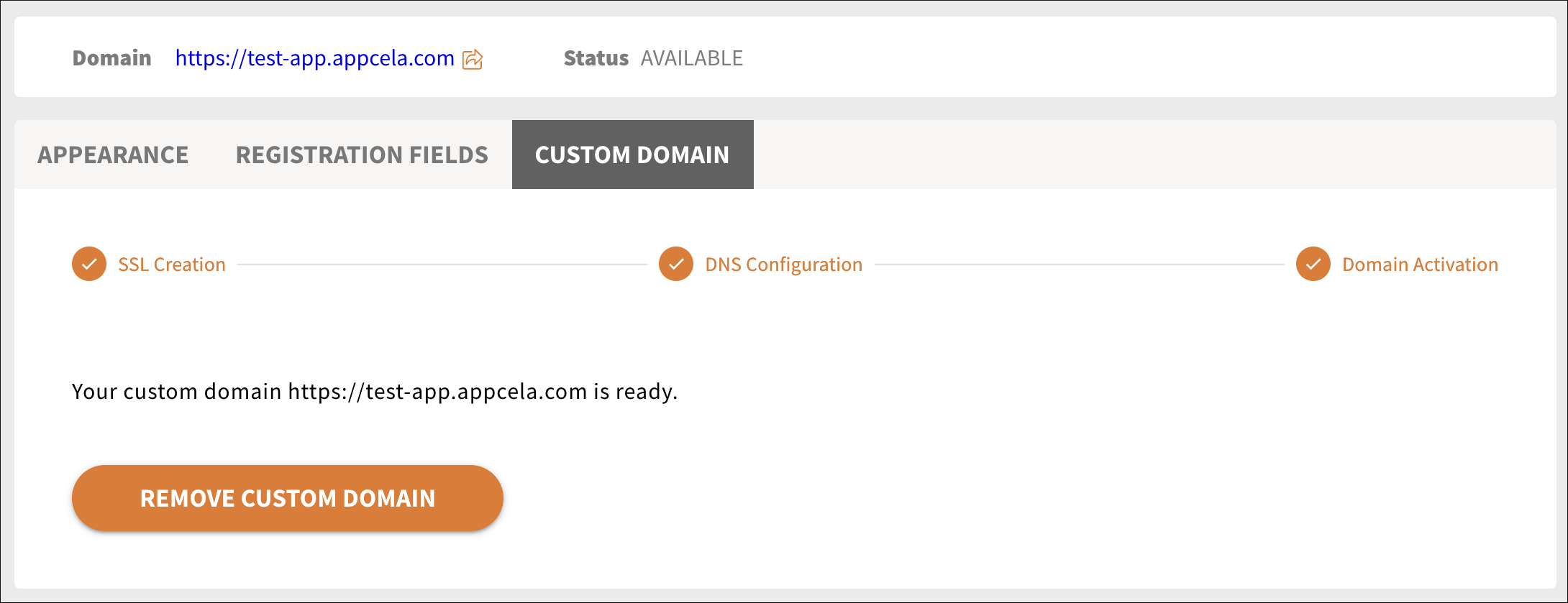Custom domain. Configure DNS provider step