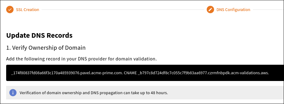 Verify domain ownership with the DNS provider